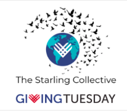 Starling Collective: Convocatoria para financiamiento de ONGs